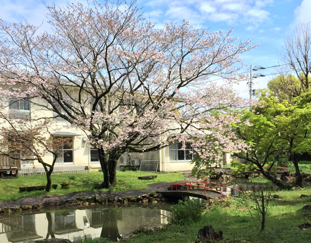 高知大学